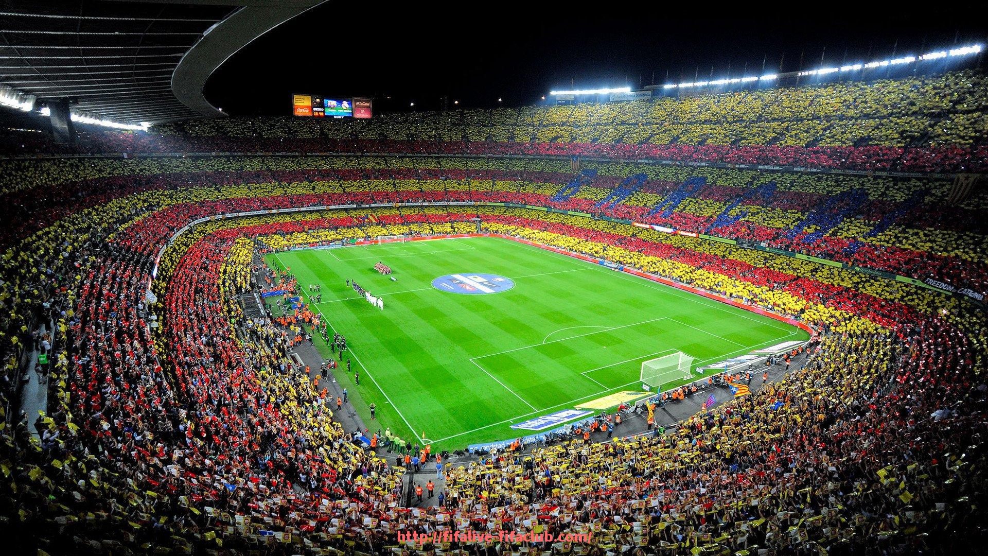 世俱杯直播-世俱杯球鞋鞋楦贴合度调查及脚型适配分析